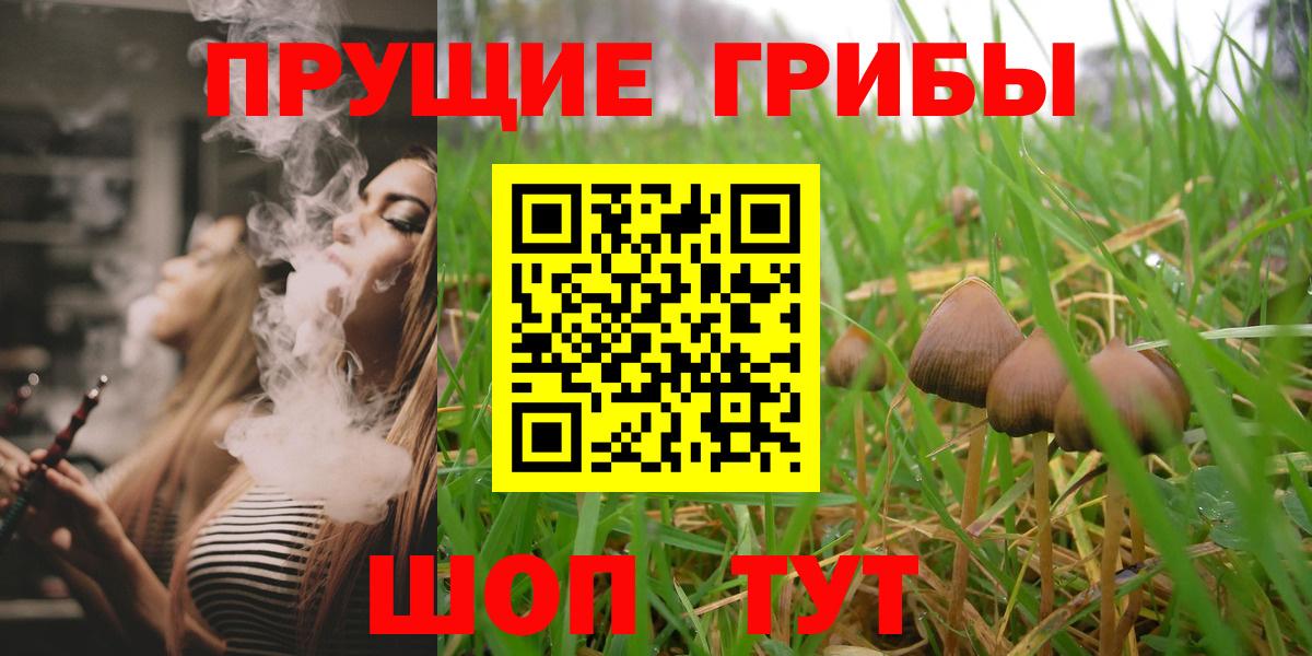 Псилоцибиновые грибы Cubensis Туймазы